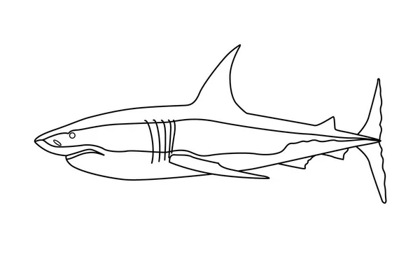 掠食鱼鲨素描插图雕刻风格 — 图库矢量图片