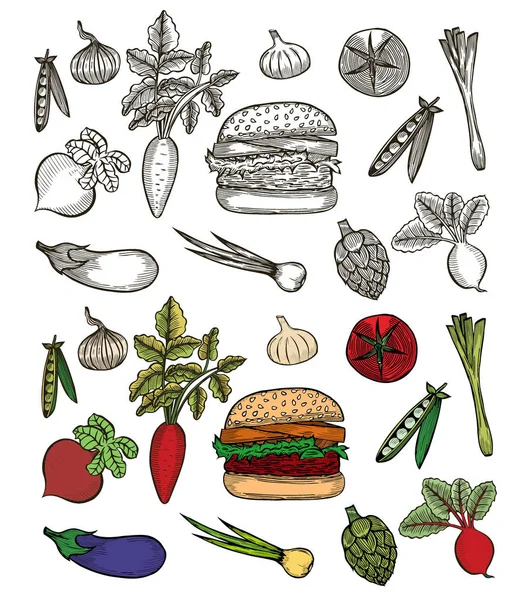 Set Verduras Colores Con Hamburguesa Bosquejo Tomate Zanahoria Berenjena Cebolla — Archivo Imágenes Vectoriales