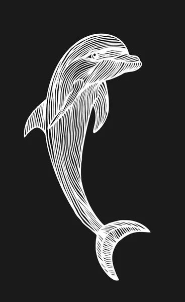 黑色背景下海豚的仿古雕刻插图 — 图库矢量图片