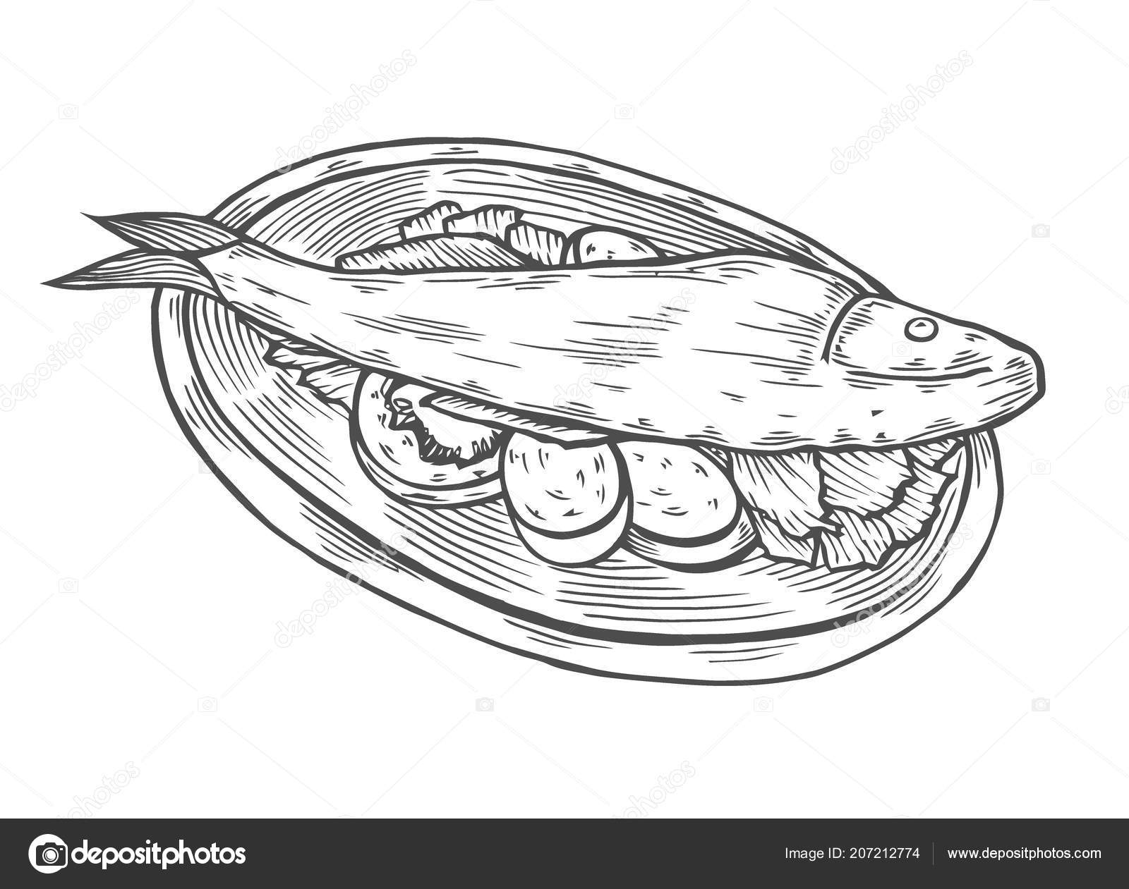 Isolated Detail Vintage Hand Drawing Food Sketch Illustration Carp Fish  Stock Vector by ©frescomovie 207212774