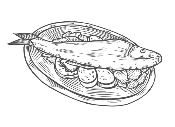 Isolado Detalhe Vintage Mão Desenho Alimento Esboço Ilustração Carpa Peixe —  Vetores de Stock