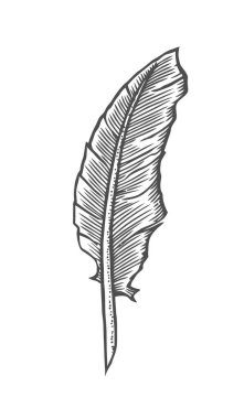 Bir tüy kalem özgün bir örnek bir vintage tahta oymabaskı tarzda kalem