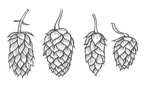 Conjunto Ilustraciones Lúpulo Cerveza Dibujado Mano Elemento Diseño Para Logotipo — Vector de stock
