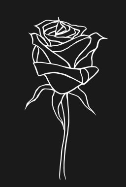 Grafik, çizim kroki. Rose, logo, çizim vektör grafik tasarımı için çiçek desenli. Çiçek doğal tasarım.