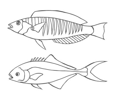 Vektör çizim ile iki farklı kroki hat sanat balıkçı.