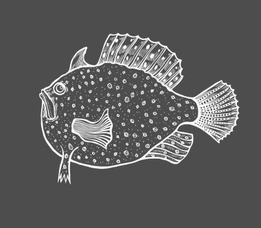 Komik balık tarzı kroki. Boyama kitabı yetişkin ve çocuklar, boyama sayfaları antistress için. Elle çizilmiş vektör siyah arka plan üzerine illüstrasyon izole. Kına Mehdi, dövme