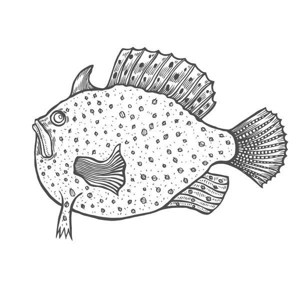 滑稽的鱼雕刻风格 为成人和儿童着色书 抗应激着色页 手绘向量查出的例证在白色背景 指甲花手绘 — 图库矢量图片