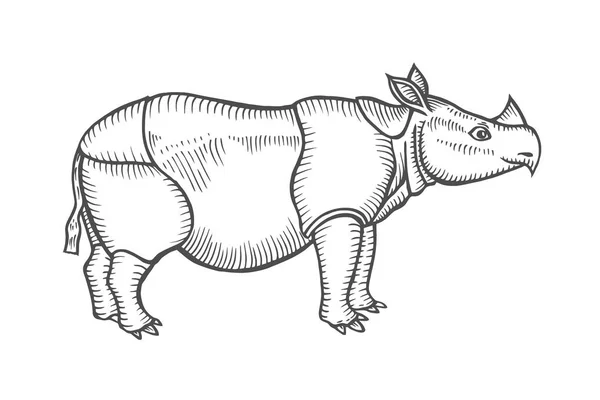 Зоопарк Африканський Фауни Носоріг Боку Звернено Ілюстрації Тату Дизайн Емблему — стоковий вектор