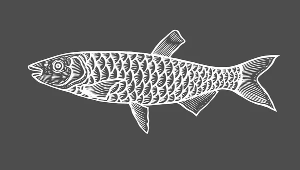 魚のインク スケッチ 黒い背景にベクトル図を描いた レトロなスタイル — ストックベクタ