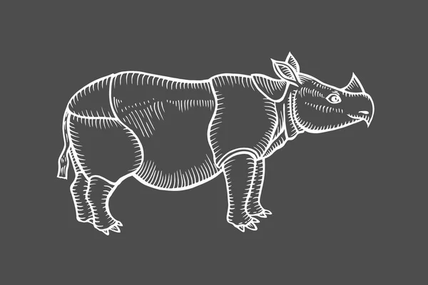 Zoo Afrykańskiej Fauny Nosorożec Ilustracja Tatuażu Godło Odznaka Shirt Druk — Wektor stockowy