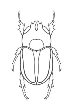 Boynuzlu böcek. Büyük böcek hat sanatı. El ile çizim. Grafik Sanatlar. Doodle dövme. Lucanus cervus