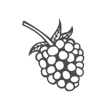 Ahududu meyve. Superfood organik meyve. Elle çizilmiş vektör oyulmuş illüstrasyon kroki. Siyah beyaz arka plan üzerinde izole ahududu