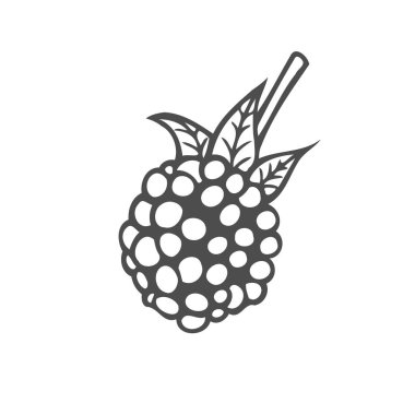 Ahududu meyve. Superfood organik meyve. Elle çizilmiş vektör oyulmuş illüstrasyon kroki. Siyah beyaz arka plan üzerinde izole ahududu