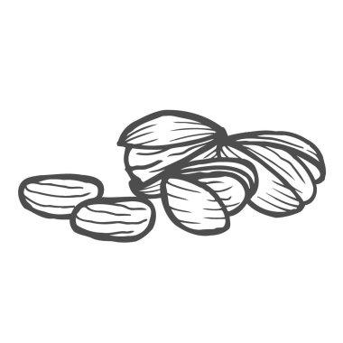 El çekilmiş Antep fıstığı küme. Açık ve kızarmış taze organik gıda. Single ve grup. Fındık beyaz arka plan üzerinde izole çizimler vektör.