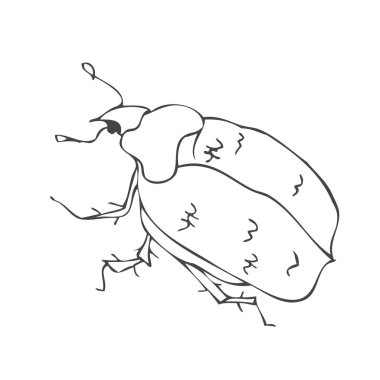 Büyük şirin Freehand doğrusal el resmi logo kabataslak kağıt üzerinde sanat retro karalama stil hapiste çekilmiş. Metin için yer ile makro detay göster