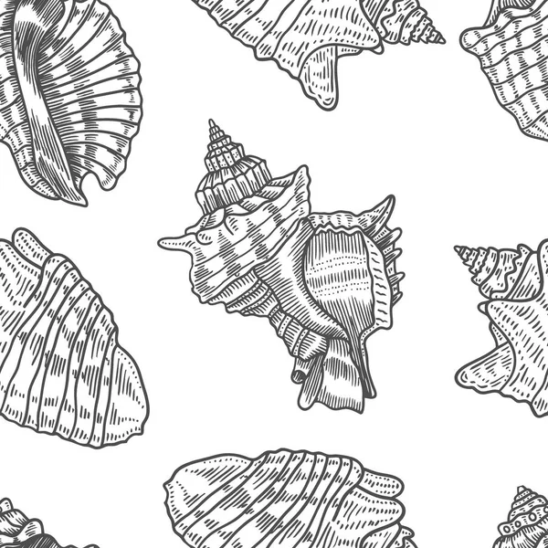 Padrão Sem Costura Vetorial Seashells Ilustrações Marinhas Desenhadas Mão Linha — Vetor de Stock