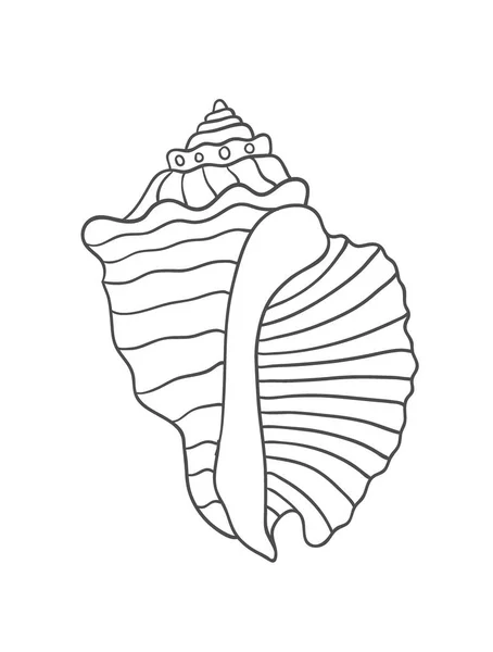 Sea Shell Witte Achtergrond Set Vectorillustratie Geïsoleerd — Stockvector