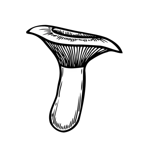 Hand Drawn Monochrome Mushroom Vector Colorful Sketch Collection Different Mushrooms — Stok Vektör