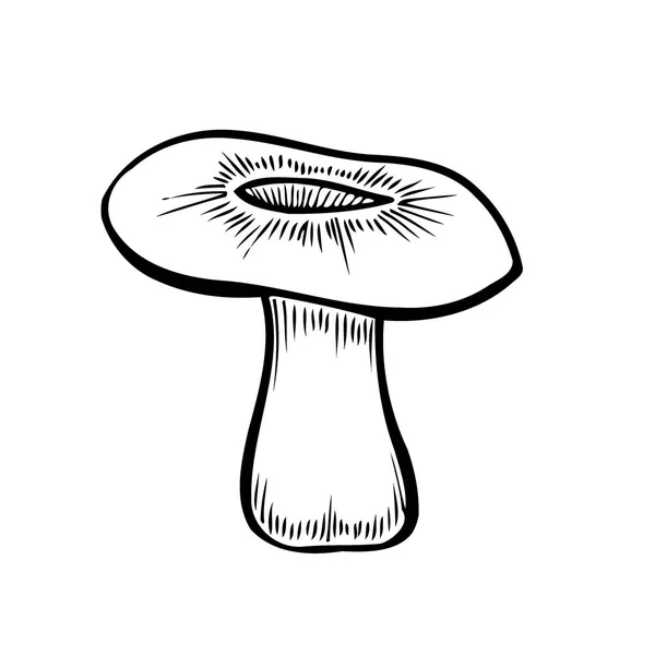 Hand Drawn Monochrome Mushroom Vector Colorful Sketch Collection Different Mushrooms — Stockvector