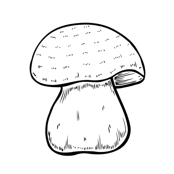 Hand Drawn Monochrome Mushroom Vector Colorful Sketch Collection Different Mushrooms — Wektor stockowy