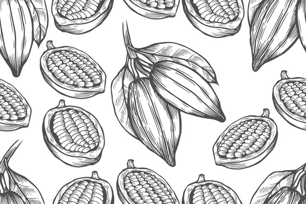 Vector Εικονογράφηση Δέντρο Κακάου Εκλεκτής Ποιότητας Φόντο Χέρι Και Φύλλα — Διανυσματικό Αρχείο