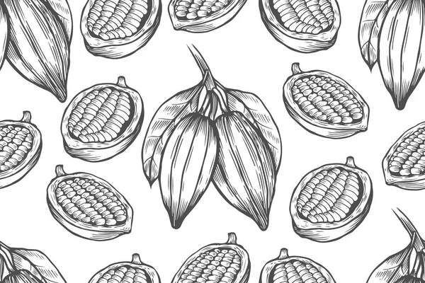 Ilustración Del Árbol Cacao Vectorial Fondo Vintage Con Mano Dibujada — Archivo Imágenes Vectoriales