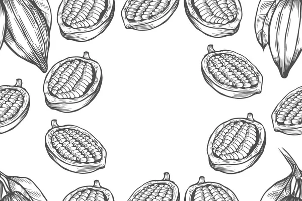 Шаблон Дизайна Какао Бобов Гравированный Стиль Иллюстрации Шоколадные Бобы Векторная — стоковый вектор