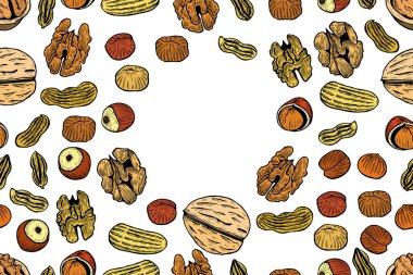 Vektör deli ve tohum ile seamless modeli. Antep fıstığı, brasil fındık, ceviz, fındık, Hindistan cevizi, kaju arka plan. Elle çizilmiş öğeleri kroki tarzı.