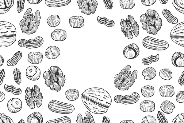 Ořechy Bezešvá Vektorová Vzor Obrys Ruky Nakreslené Obrázku Černá Bílá — Stockový vektor