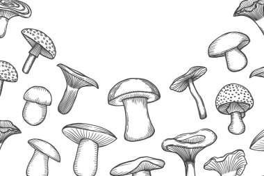 Vintage deniz ürünleri çerçeve vektör çizim. El Seashell mürekkeple çizilmiş. Oyulmuş tarzı görüntü