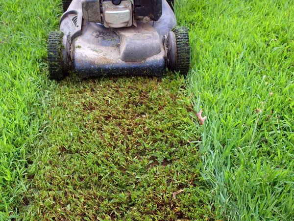 Snijden Gras Een Push Grasmaaier — Stockfoto