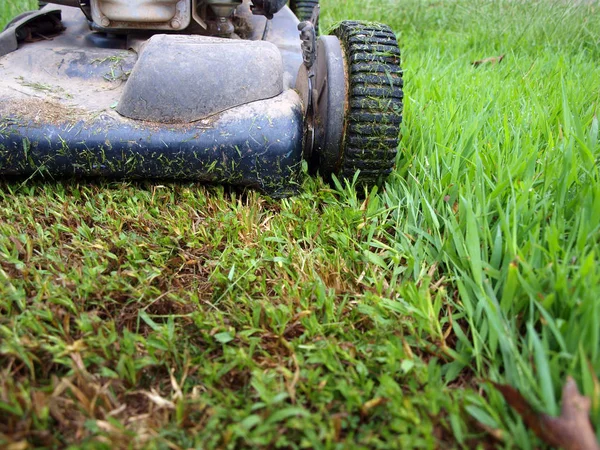 Couper Herbe Une Tondeuse Gazon Poussée — Photo