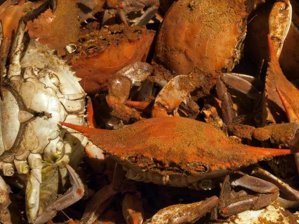 Foto Einer Gekochten Blauen Krabbe Einem Topf Aus Der Chesapeake — Stockfoto