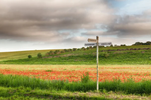 Lokale Wegwijzer Een Gebied Van Rode Papavers Travel Concept Het — Stockfoto