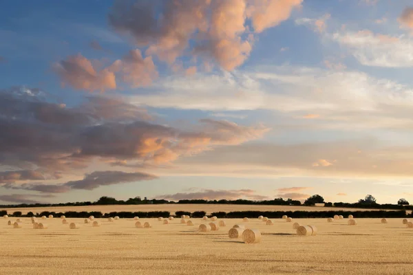 Fardos Feno Norfolk Que Aquecem Pôr Sol Brilham Com Nuvens — Fotografia de Stock