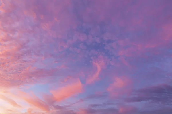 Rosa Moln Och Blå Himmel Bakgrund Visar Naturens Lugna Väder — Stockfoto