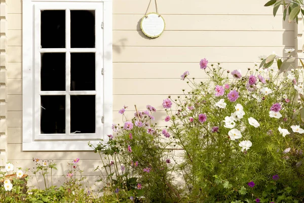 Flores Verano Contra Una Ventana Del Edificio Del Summhouse Madera — Foto de Stock