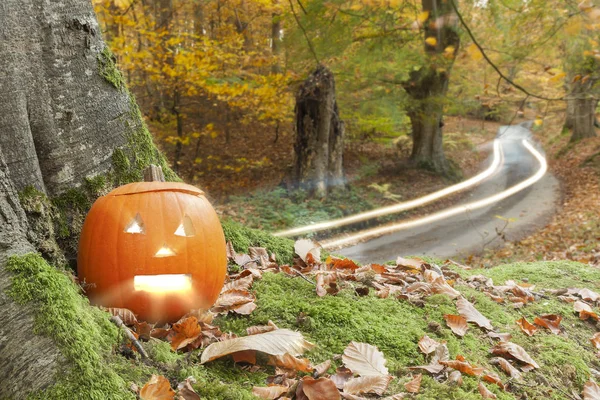 Hösten Scen Med Skrämmande Orange Pumpa Satt Bredvid Ett Träd — Stockfoto