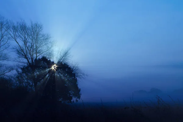 Early morning full moon rise, with blue misty sky and winter tree line.