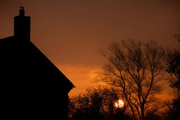 집에서 일출입니다 안개가 자욱한 아침이을 나무를 새벽에 나무의 오렌지 — 스톡 사진