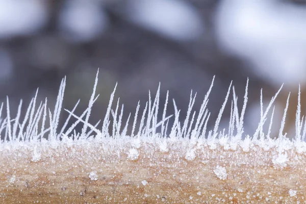 Cristales de hielo formando espigas en macro — Foto de Stock