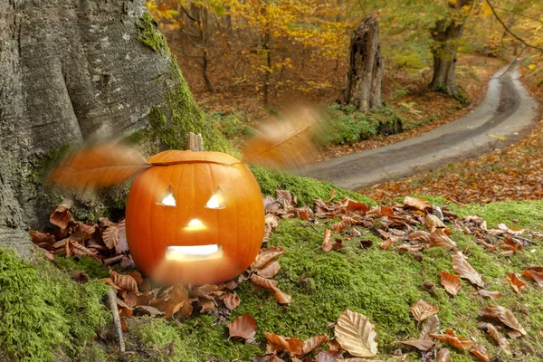 Halloween pompoen in de herfst bos — Stockfoto