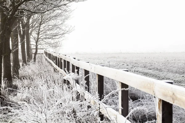 Invierno rural nieve paisaje y valla —  Fotos de Stock