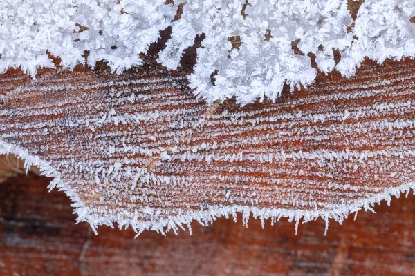 Macro cristais de gelo em um tronco de madeira — Fotografia de Stock