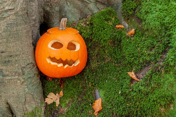 Gruseliger Halloween-Kürbis im Wald — Stockfoto
