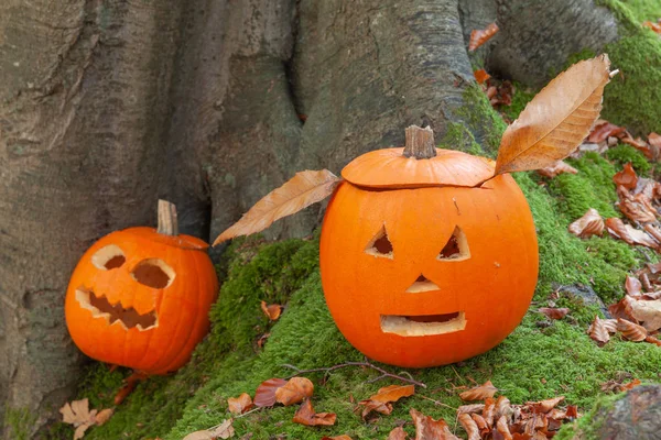 Two scary pumpkins for halloween — Stock Photo, Image