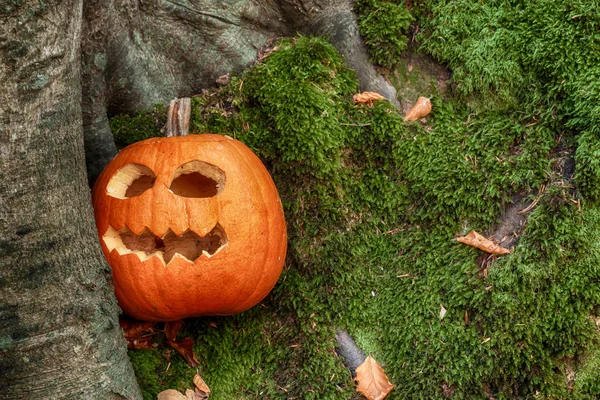 Scary halloween pumpkin in the woods — Stock Photo, Image
