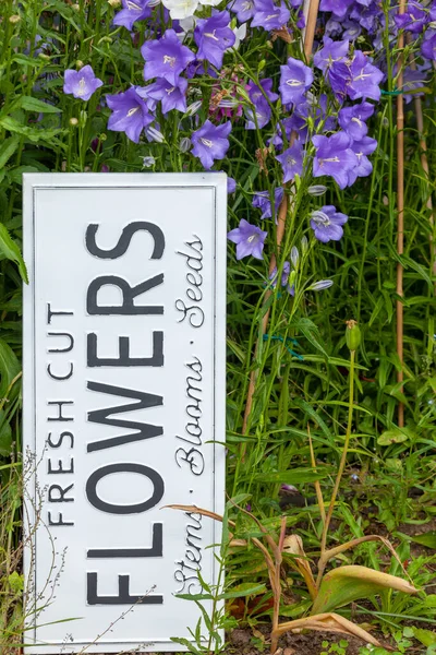 Schöne Sommerblumen Einem Gartenbeet Mit Einem Weißen Schild Auf Dem — Stockfoto