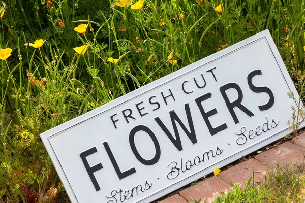 Schöne Sommerblumen Einem Gartenbeet Mit Einem Weißen Schild Auf Dem — Stockfoto
