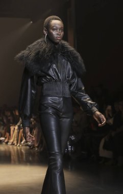 New York, Ny, Amerika Birleşik Devletleri - 8 Şubat 2019: Bir model yürür pist Cushnie sonbahar/kış 2019 koleksiyonu bahar Studios, Manhattan, New York moda sırasında için